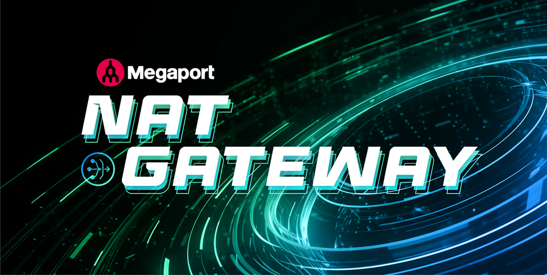 Introducing Megaport NAT Gateway